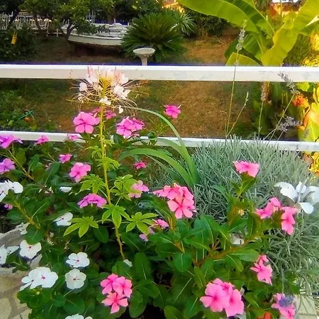 Apartments By The Sea Trogir - 9667 *